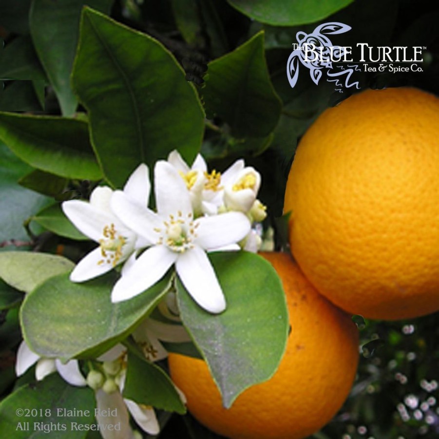 Tea Expand UOM64 | Orange Blossom